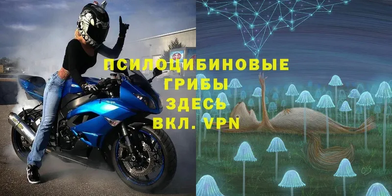 площадка Telegram  Кстово  Псилоцибиновые грибы ЛСД  хочу  